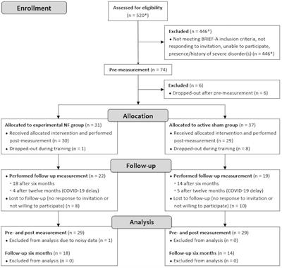 Long-term improvements in executive functions after frontal-midline theta neurofeedback in a (sub)clinical group